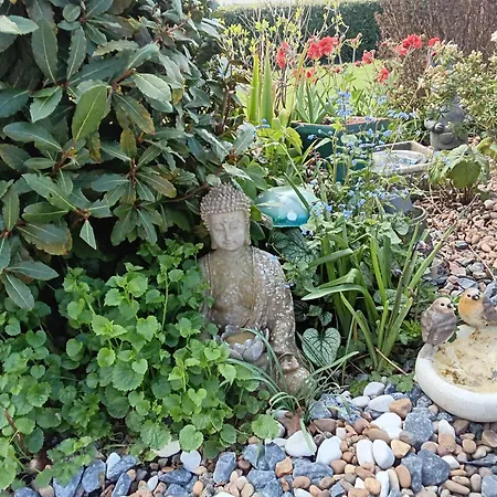 Robins Nest דירה דרוגדה