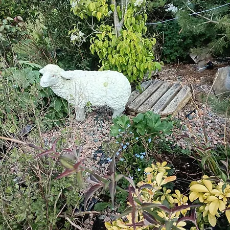 Robins Nest Apartamento *