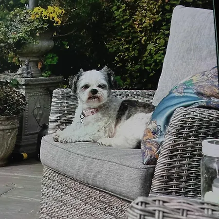 Robins Nest Drogheda