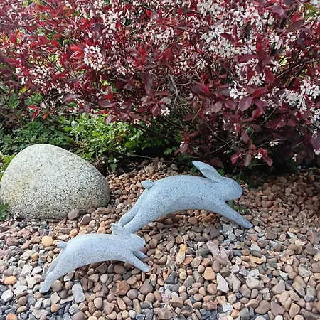 Robins Nest Apartamento *