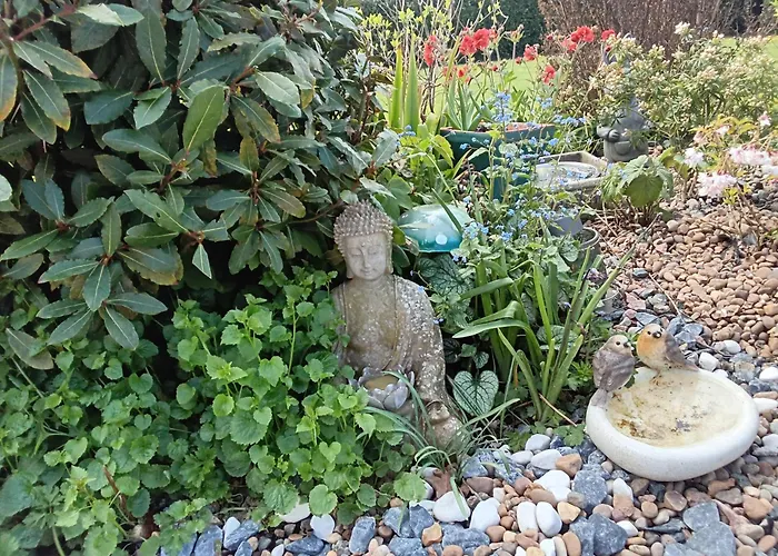 Robins Nest דירה דרוגדה