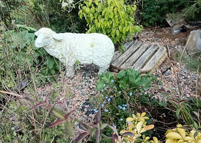 Robins Nest דירה *