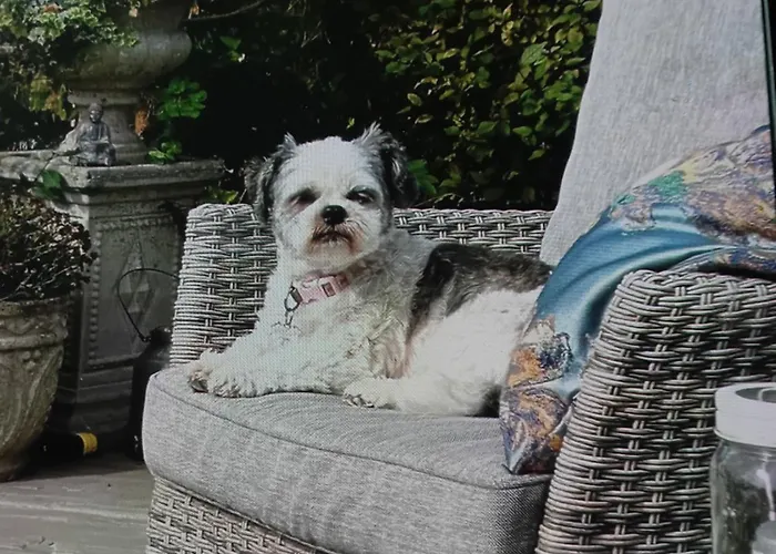 Robins Nest Drogheda