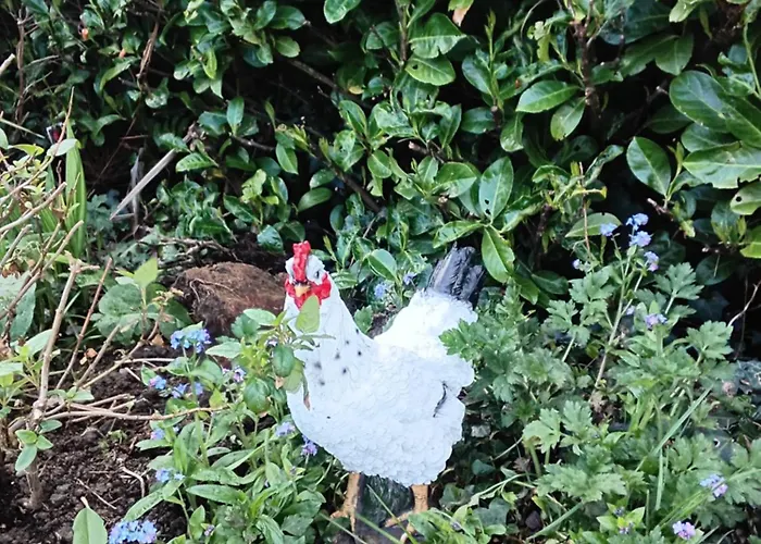 Robins Nest Drogheda