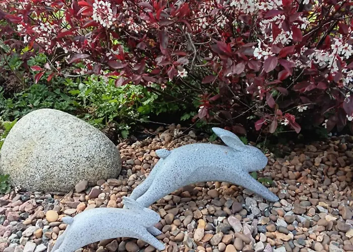 Robins Nest דירה *